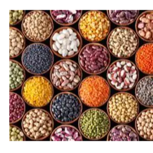 Pulses by Hart Foods