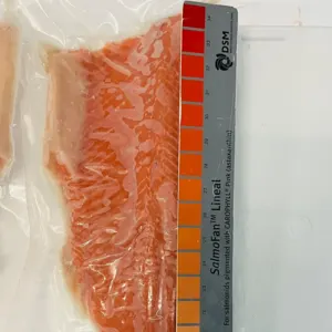 Fresh and Salmon Rainbow Trout Salmon - Image 2