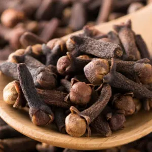 Cloves madagascar by Swift Thirty-Six Enterprises Ltd