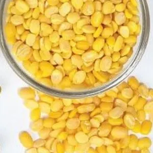 PULSES - Image 4