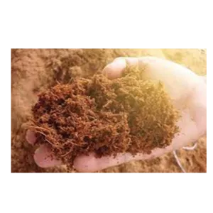 Coco Peat