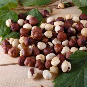 Hazelnuts by Swift Thirty-Six Enterprises Ltd