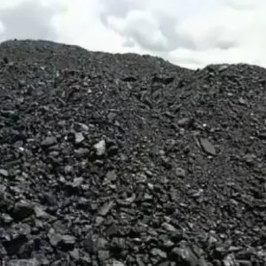 Steam Coal Commodity NCV 5500 Kcal/Kg - Image 2