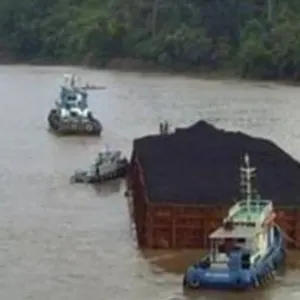 Steam Coal Commodity NCV 5500 Kcal/Kg - Image 3