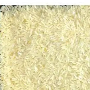 SONA MASURI  rice