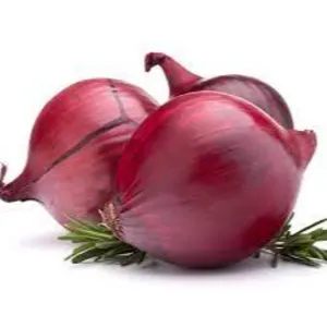 onion by Shaikhg international supplier & exporter