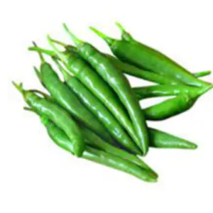 green chilly by Shaikhg international supplier & exporter