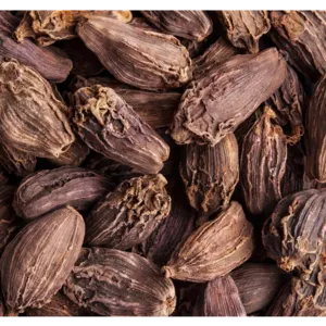 Black Cardamom
