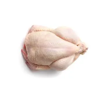 chickens