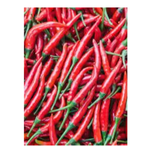 .RED CHILI PEPPERS AND ISOT