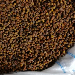 Bee bread - Image 2
