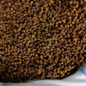Bee bread - Image 3