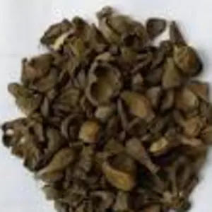 PALM SHELL by Alpha Trade import export