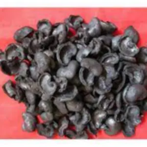 CASHEW SHELL
