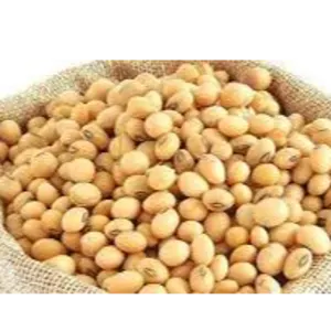 SOYA BEAN by Alpha Trade import export