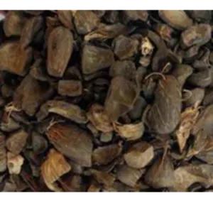 Palm Shells (PKS)