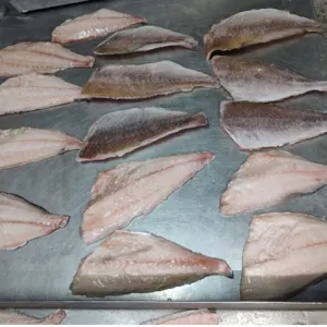 Frozen fish Morocco