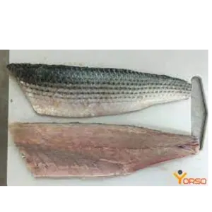 Grey mullet fillet