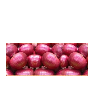 onions