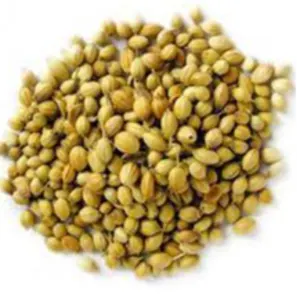 spices - Image 10