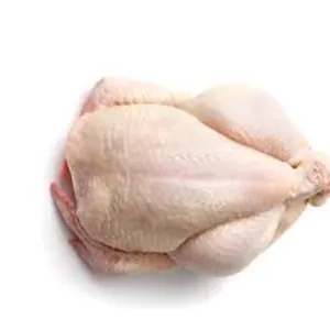 Poultry (chicken) by Victor alliances LLC