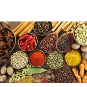 SPICES by K B GLOBAL