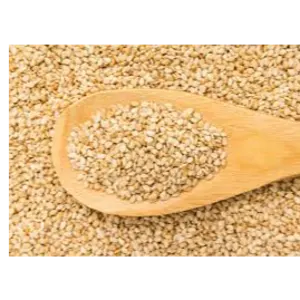 Sesame Seeds by Ittefaq Asia Gen Trd & Cont Co. - Luxex General Trading Co. - B&H enterprise