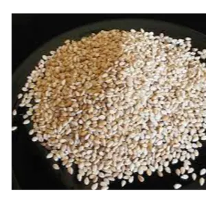 Sesame