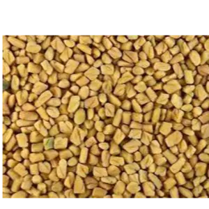 FENUGREEK SEED by KAPADIYA EXPO COMPANY