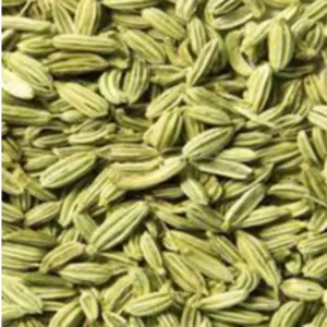 FENEL SEED by KAPADIYA EXPO COMPANY