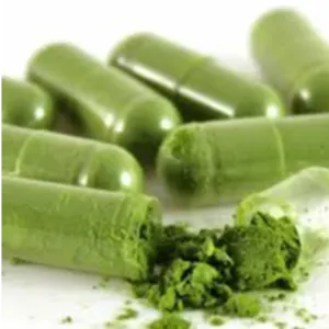 WHEATGRASS – POWDER, CAPSULE, TABLET. by KAPADIYA EXPO COMPANY