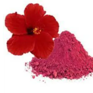 HIBISCUS POWDER by KAPADIYA EXPO COMPANY