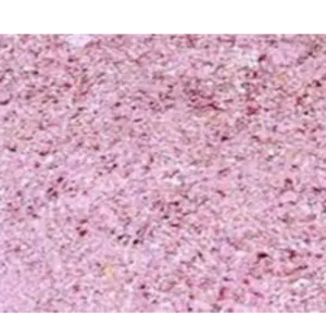DEHYDRATED PINKONION GRANULES by KAPADIYA EXPO COMPANY