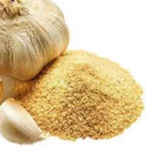 Onion Powder