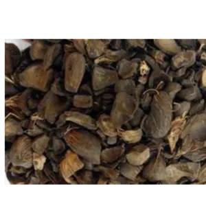 Palm kennel  Shells (PKS}