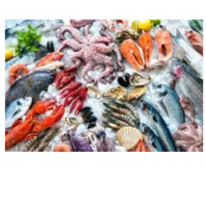Fish & Sea products