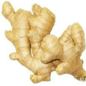 Ginger