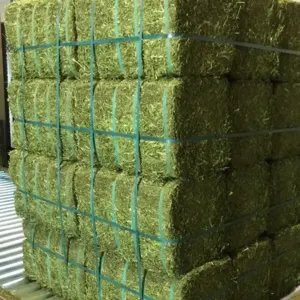 Top Quality Animal Feed Alfafa Hay for Animal Feeding Stuff Alfalfa - Image 3