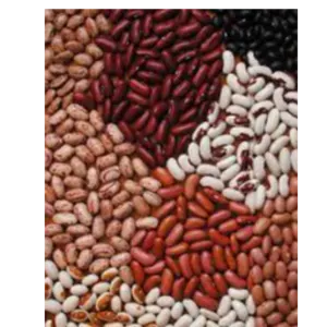 Kidney beans by Swift Thirty-Six Enterprises Ltd