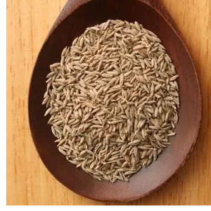 Cumins seeds by Swift Thirty-Six Enterprises Ltd