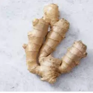 Ginger by Swift Thirty-Six Enterprises Ltd