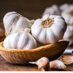 Garlic by Swift Thirty-Six Enterprises Ltd
