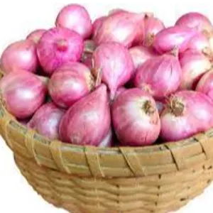 Onion by Swift Thirty-Six Enterprises Ltd