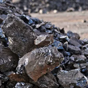 Thermal Coal by Expo Global