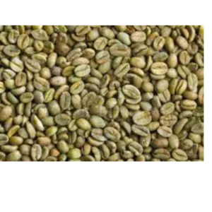 Robusta coffee beans by DIAX OVERSEAS