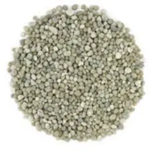 DAP - 18% Nitrogen and 46% Phosphorus (P2O5) by White Wing International FZE