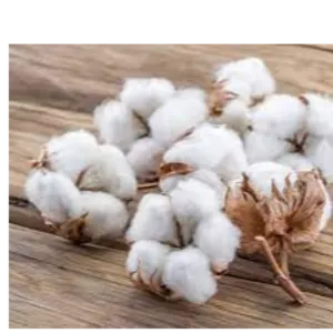 Cotton by Kyrios Trade & Services