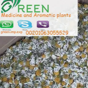 Chamomile flower High Quality Certificated by Green Herbs and Spices