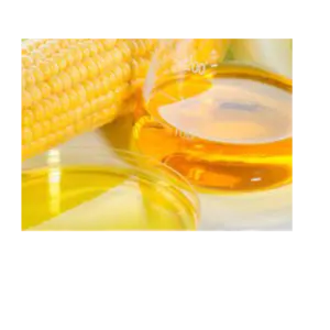 Corn Oil