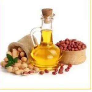 Peanut Oil by KALLY OIL EXPORT